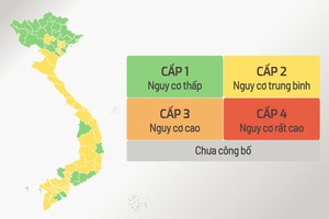 （圖源：互聯網） 