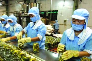 企業加工農產品出口。