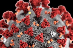 （圖源：互聯網） 