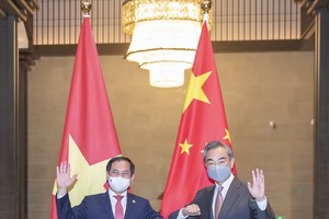 越南外交部長裴青山與中國外交部長王毅會談。