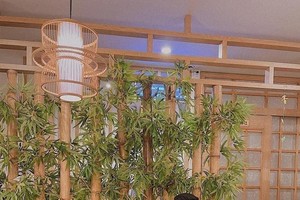 緊急拘捕阮金中泰之令已獲平盛郡人民檢察院批准