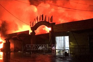 （圖源：互聯網）