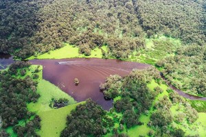 碧綠的水面掀起陣陣波浪、金光閃閃瑰麗無比。