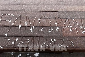 （圖源：TTXVN）