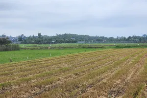 Hơn 46 triệu thửa đất được đưa vào vận hành phục vụ công tác quản lý Nhà nước về đất đai