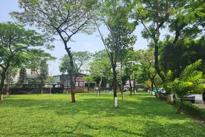 Thực hiện “Tết trồng cây đời đời nhớ ơn Bác Hồ” phải thiết thực, không phô trương hình thức