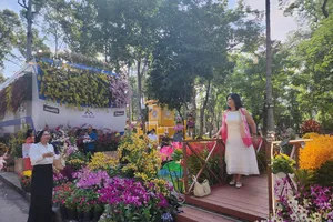 Khai mạc Festival hoa lan TPHCM lần 3 – năm 2025