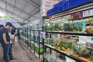 Khai mạc Ngày hội sinh vật cảnh TPHCM năm 2025