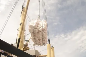 Một lô hàng gạo của Tổng Công ty Lương thực miền Nam chuẩn bị xuất sang châu Phi