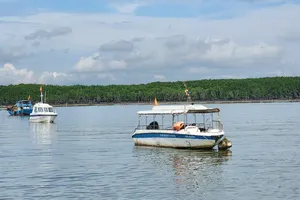 TPHCM lên phương án phòng, chống hạn hán, thiếu nước và xâm nhập mặn 