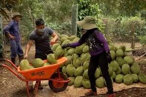 Một số ngành hàng, sản phẩm được ưu tiên hỗ trợ