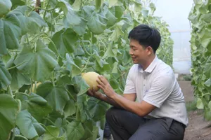 Phát động cuộc thi khởi nghiệp đổi mới sáng tạo nông nghiệp công nghệ cao