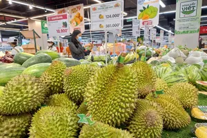 Giá sầu riêng giảm mạnh vào thời điểm thu hoạch chính vụ