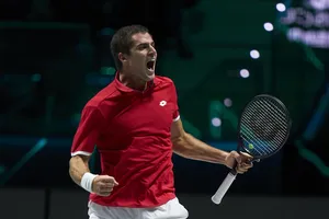 Niềm vui của Borna Gojo