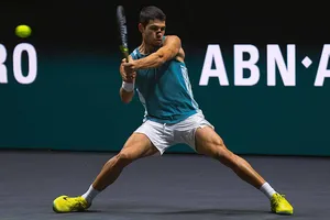 Alcaraz ở Rotterdam