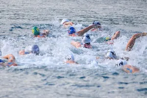 Môn bóng nước tại World Aquatics Championships 2025