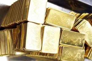 不提供購買金片貸款