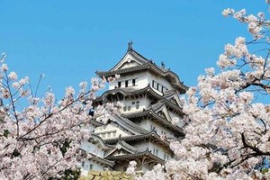 日本大阪。（圖片來源：互聯網）