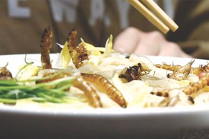 昆蟲拉麵食客爭相品嚐暗黑料理