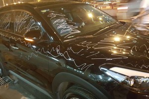 使用塗改墨筆向停泊在自家大門口的Hyundai Tucson 轎車任性塗鴉者，須賠償1300萬元。