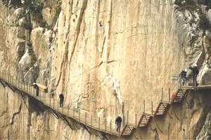 （資料圖來源：互聯網）