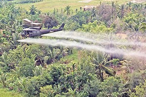 （資料圖來源：互聯網）