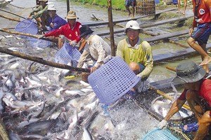 示意圖。（圖片來源：互聯網）