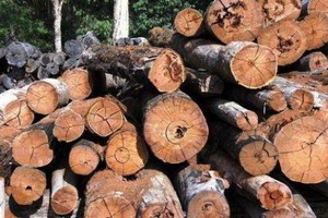 （資料圖來源：互聯網）