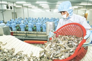 我國蝦隻出口到世界各個市場。