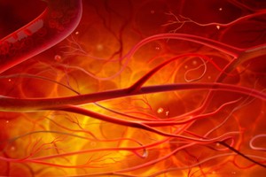 示意圖。圖源：互聯網