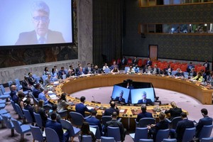 政治和建设和平事务部欧洲事务助理秘书长延恰向安全理事会通报情况。