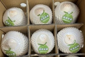 近22吨越南新鲜椰子通过北仑二号口岸出口中国市场。