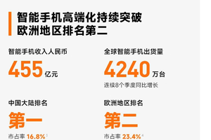 小米集团2025年第二季度财报（节选）。