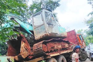 卡车肇事后冲进路边的树丛中。