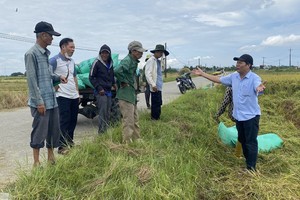 越南中部各省积极应对第5号台风