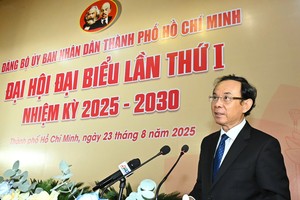  胡志明市市委书记阮文年发表指导讲话。