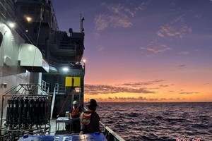 全球变暖威胁重要产氧海洋微生物。