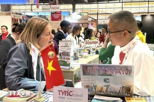 外国游客了解河内旅游的信息。