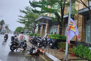 顺化遭10号台风袭击：多条街道树倒车翻，数十户民房屋顶被掀