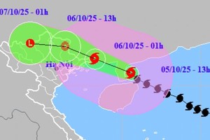 台风麦德姆进入中国雷州半岛时开始减弱。