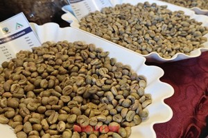  咖啡价格在周初表现良好。