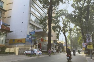 胡志明市范玉石街。