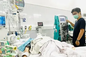 岘港医院医生对被蛇咬伤患者进行治疗。