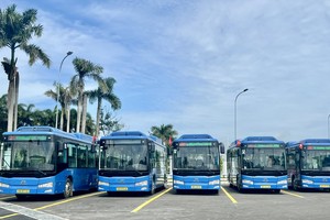 崑崙岛特区开通首条电动巴士线。