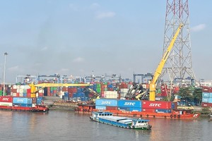 2025年前10个月越南实现贸易顺差195.6亿美元。