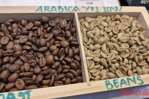 烘焙研磨阿拉比卡咖啡和生豆咖啡。