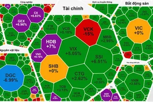 VN-Index在连续5个交易日下跌后强劲回升。
