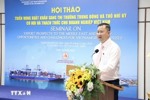 胡志明市贸易与投资促进中心主任陈富旅在研讨会上发表讲话。