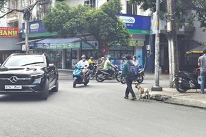 张林仲表示，他只需要符合自己专业的穩定工作。