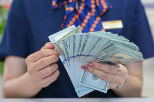 12月23日越南市场美元和人民币价格涨跌互现